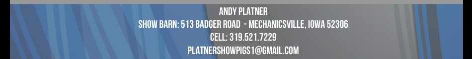 Platner Show Pigs - Andy Platner
